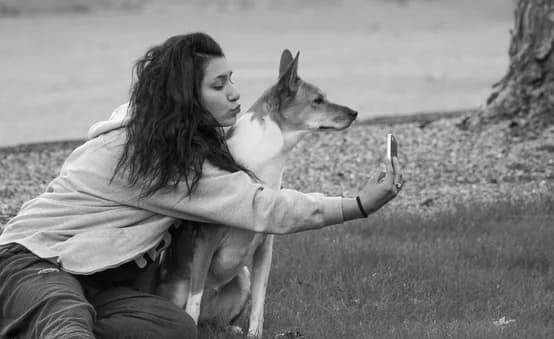 Quels sont les points forts et les points de perfectionnement des ESFJ ?